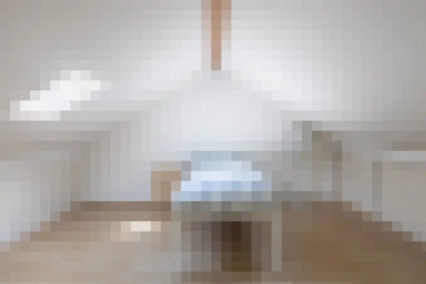 De Finne 12 Sexbierum thumbnail 32