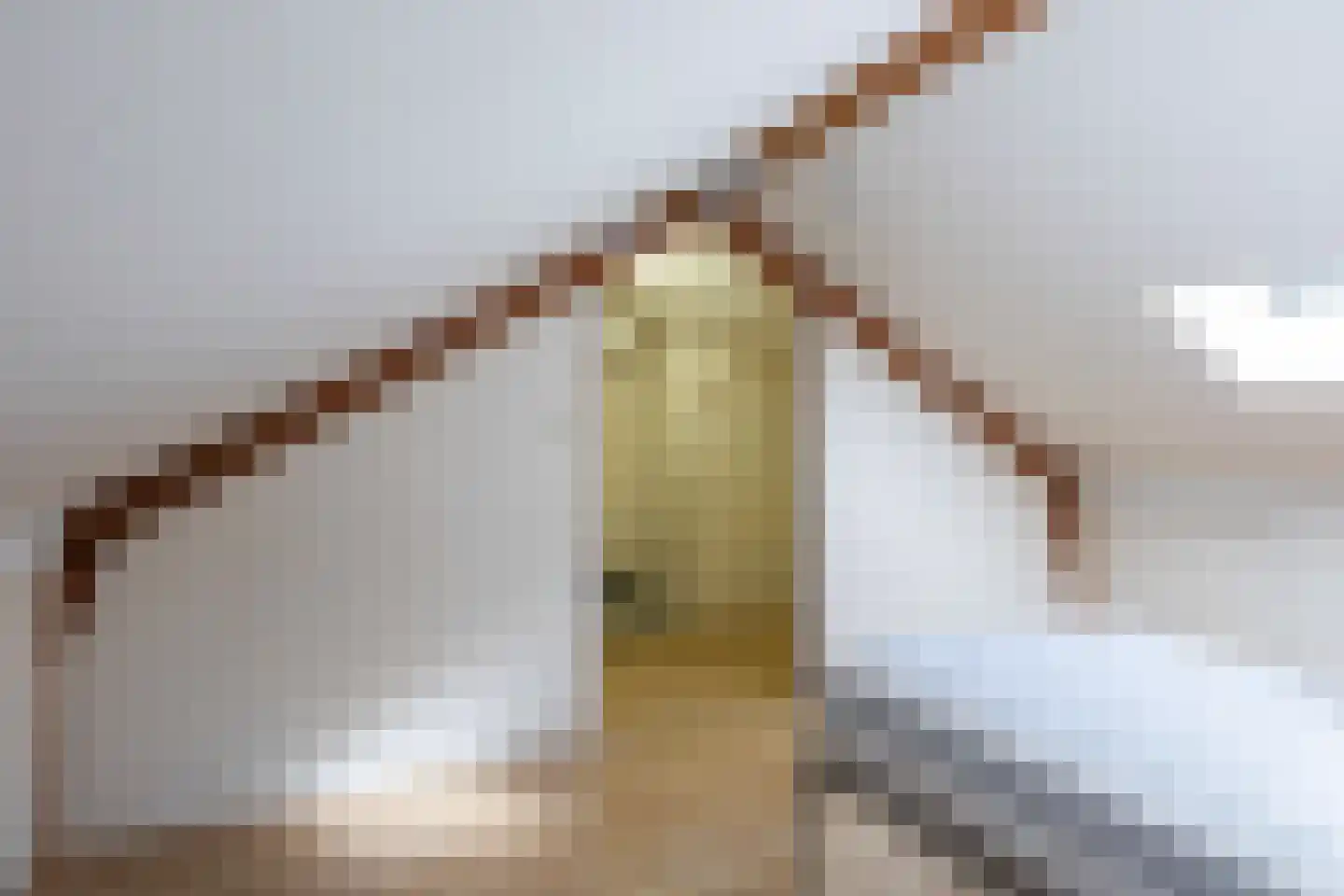 De Finne 12 Sexbierum thumbnail 33