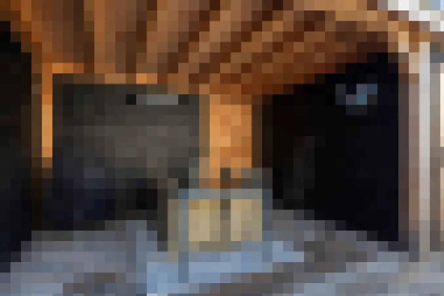 De Finne 12 Sexbierum thumbnail 38