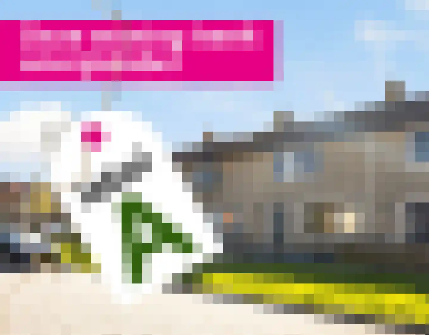 De Finne 12 Sexbierum thumbnail 40