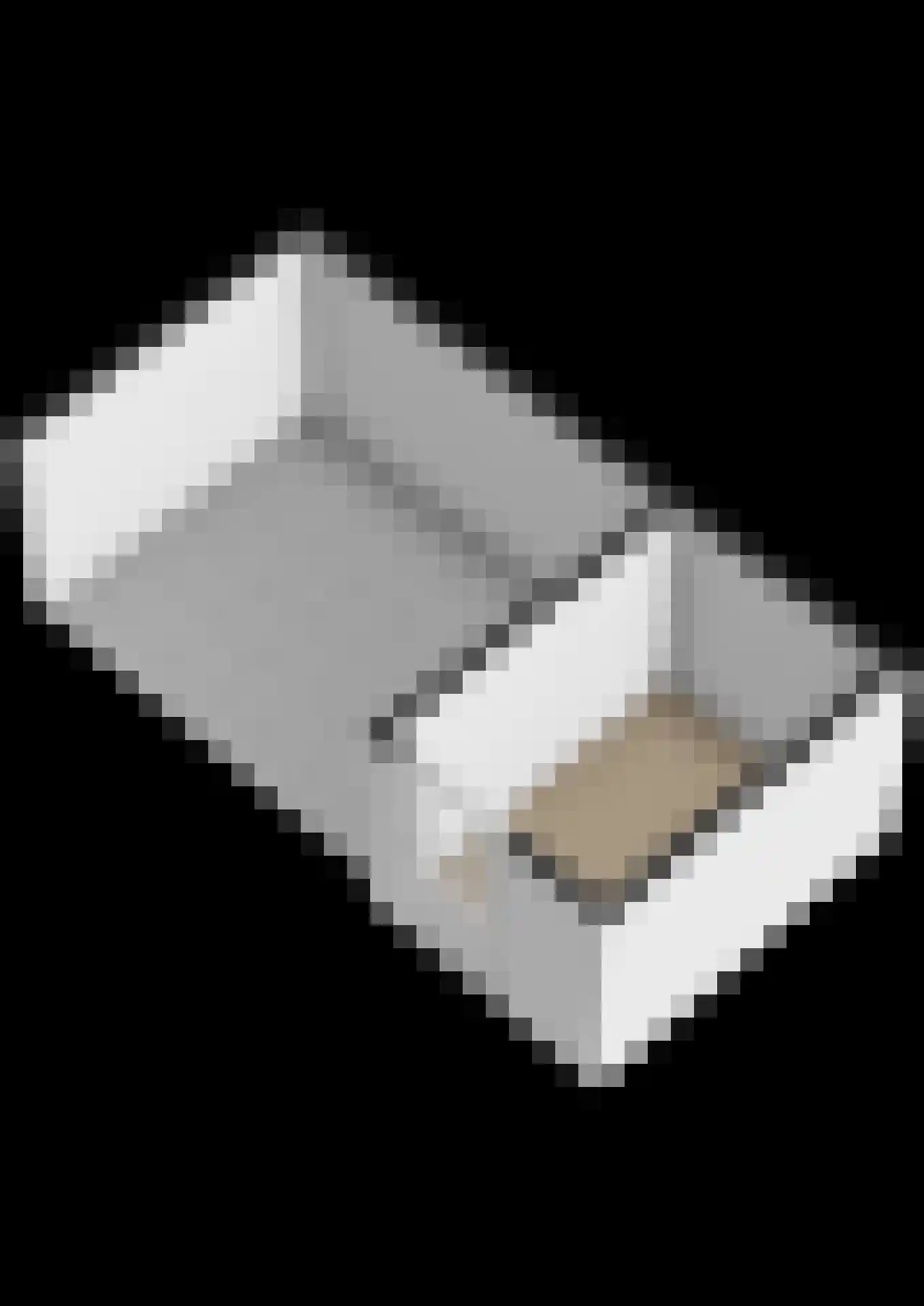 De Finne 12 Sexbierum thumbnail 48
