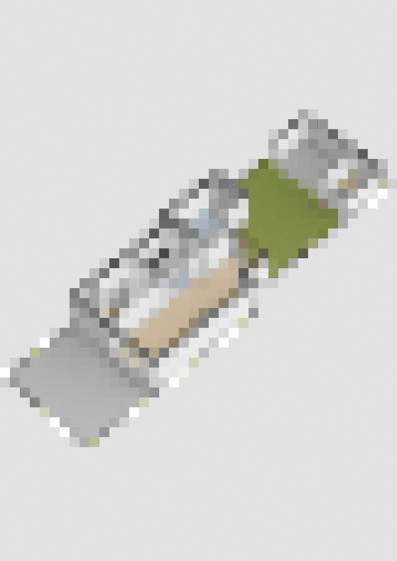 De Finne 12 Sexbierum thumbnail 49