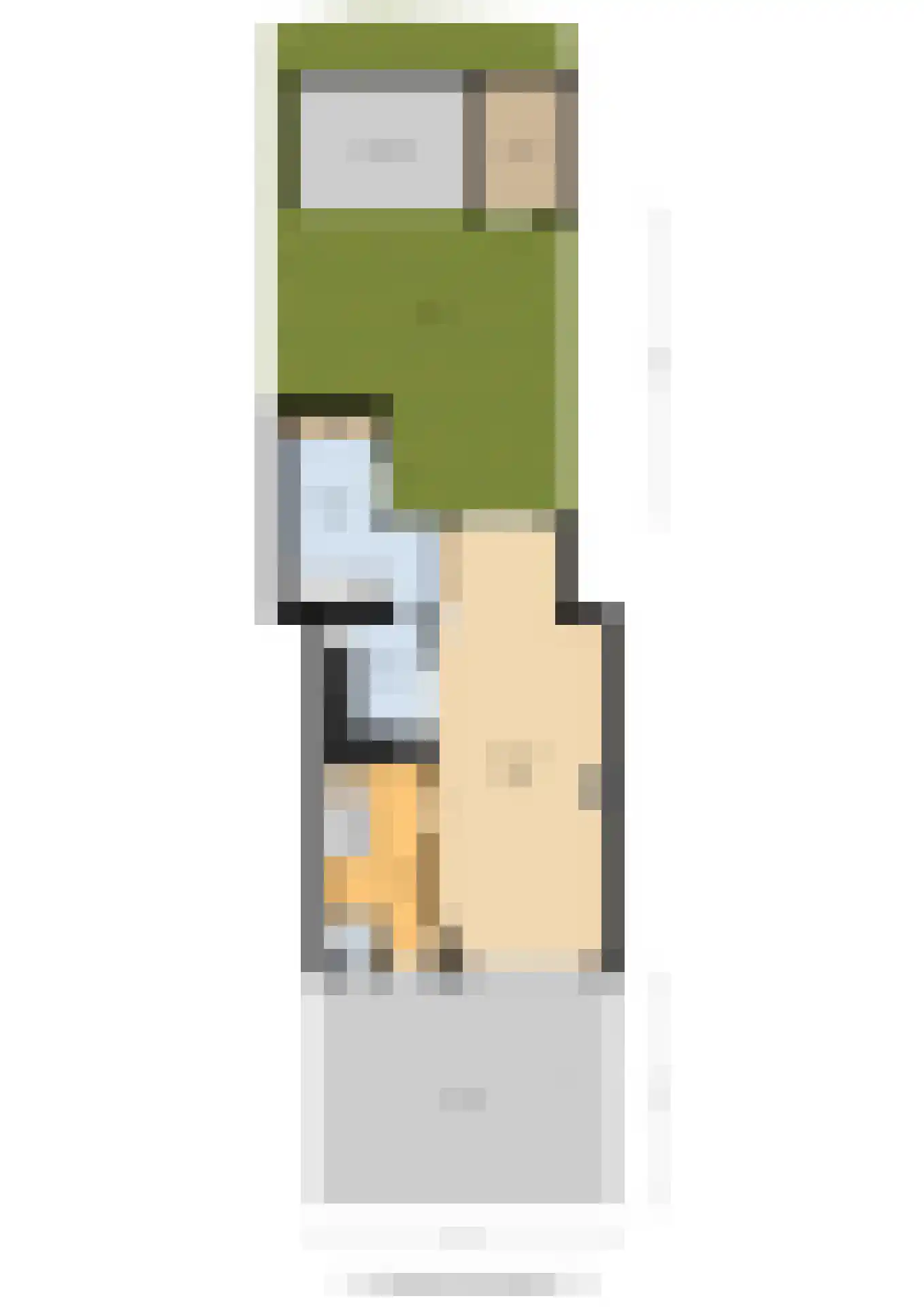 De Finne 12 Sexbierum thumbnail 50