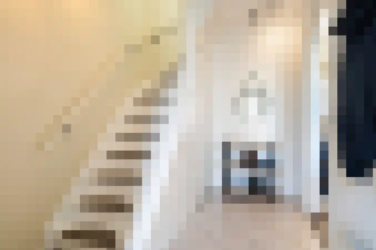 De Finne 12 Sexbierum thumbnail 9