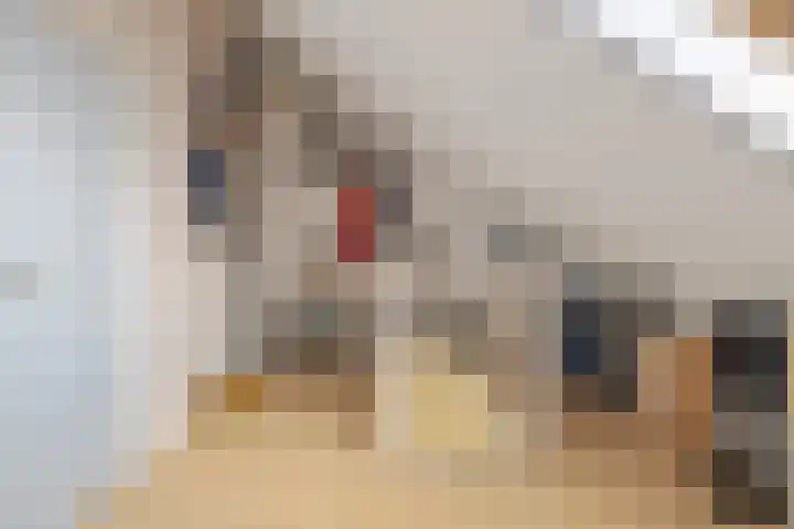 de Finne 12 Wytgaard thumbnail 27
