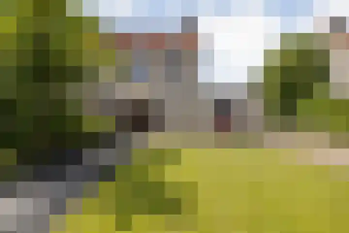 de Finne 12 Wytgaard thumbnail 32