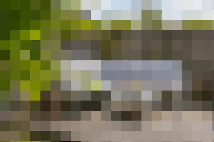 de Finne 12 Wytgaard thumbnail 33