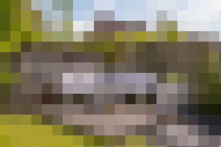de Finne 12 Wytgaard thumbnail 34