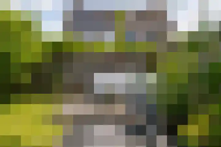 de Finne 12 Wytgaard thumbnail 35