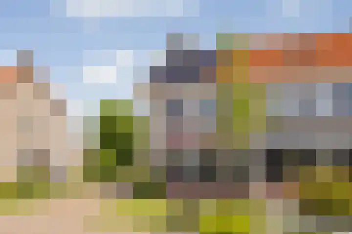 de Finne 12 Wytgaard thumbnail 43