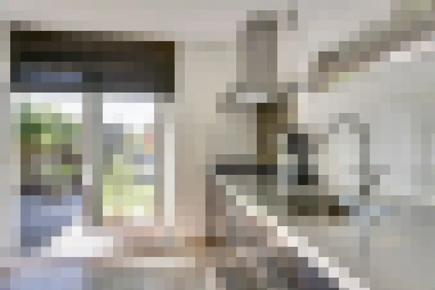 De Finne 17 Mantgum thumbnail 13