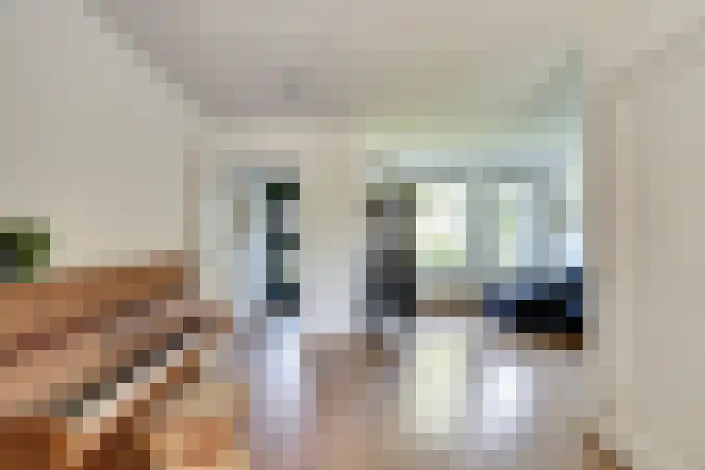 De Finne 17 Mantgum thumbnail 14