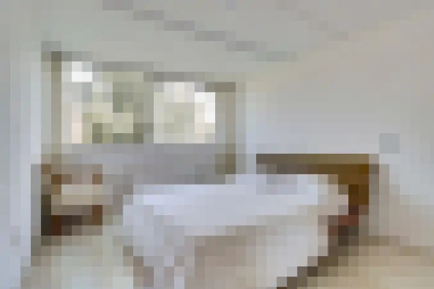 De Finne 17 Mantgum thumbnail 20