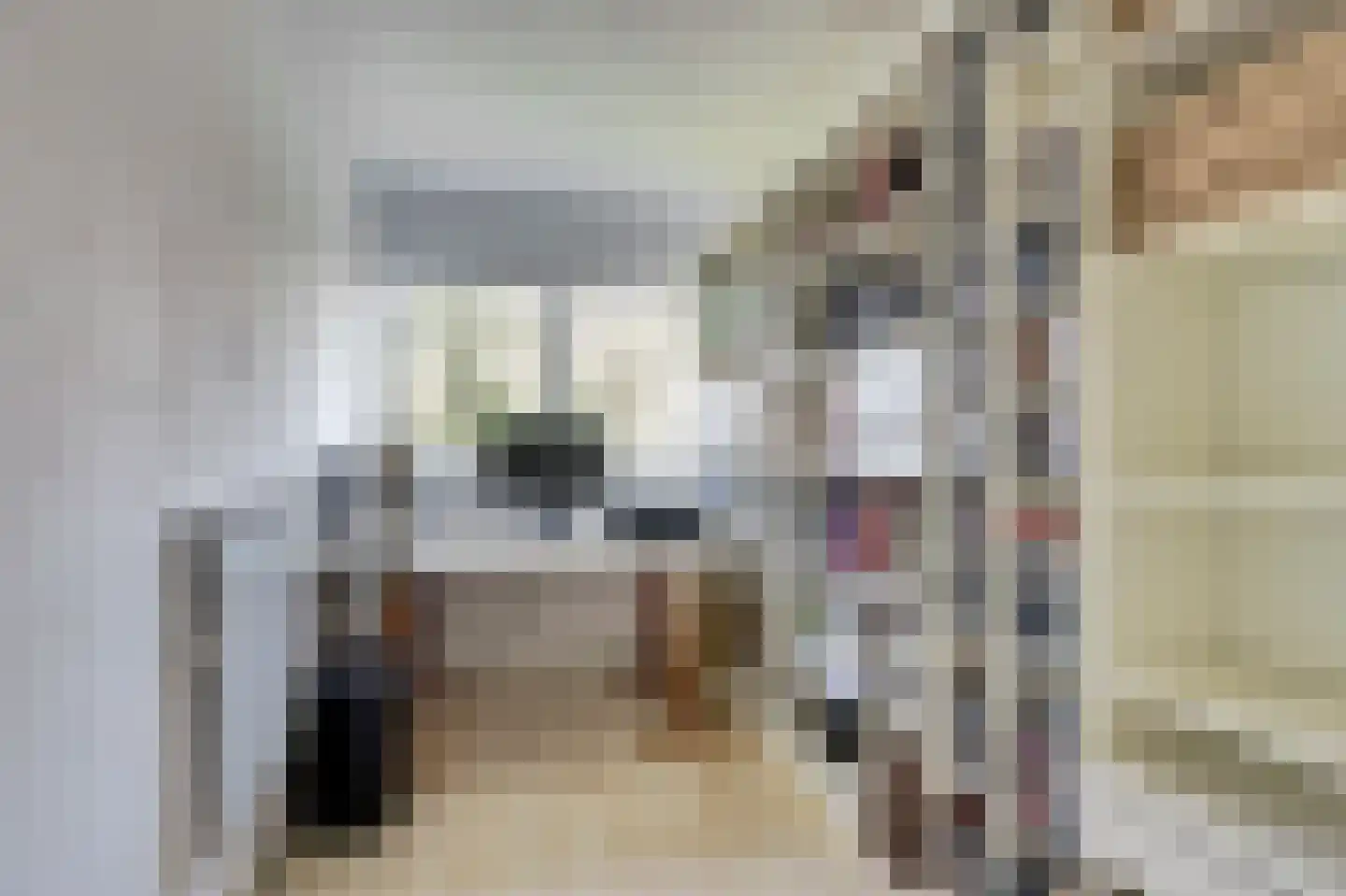De Finne 17 Mantgum thumbnail 22