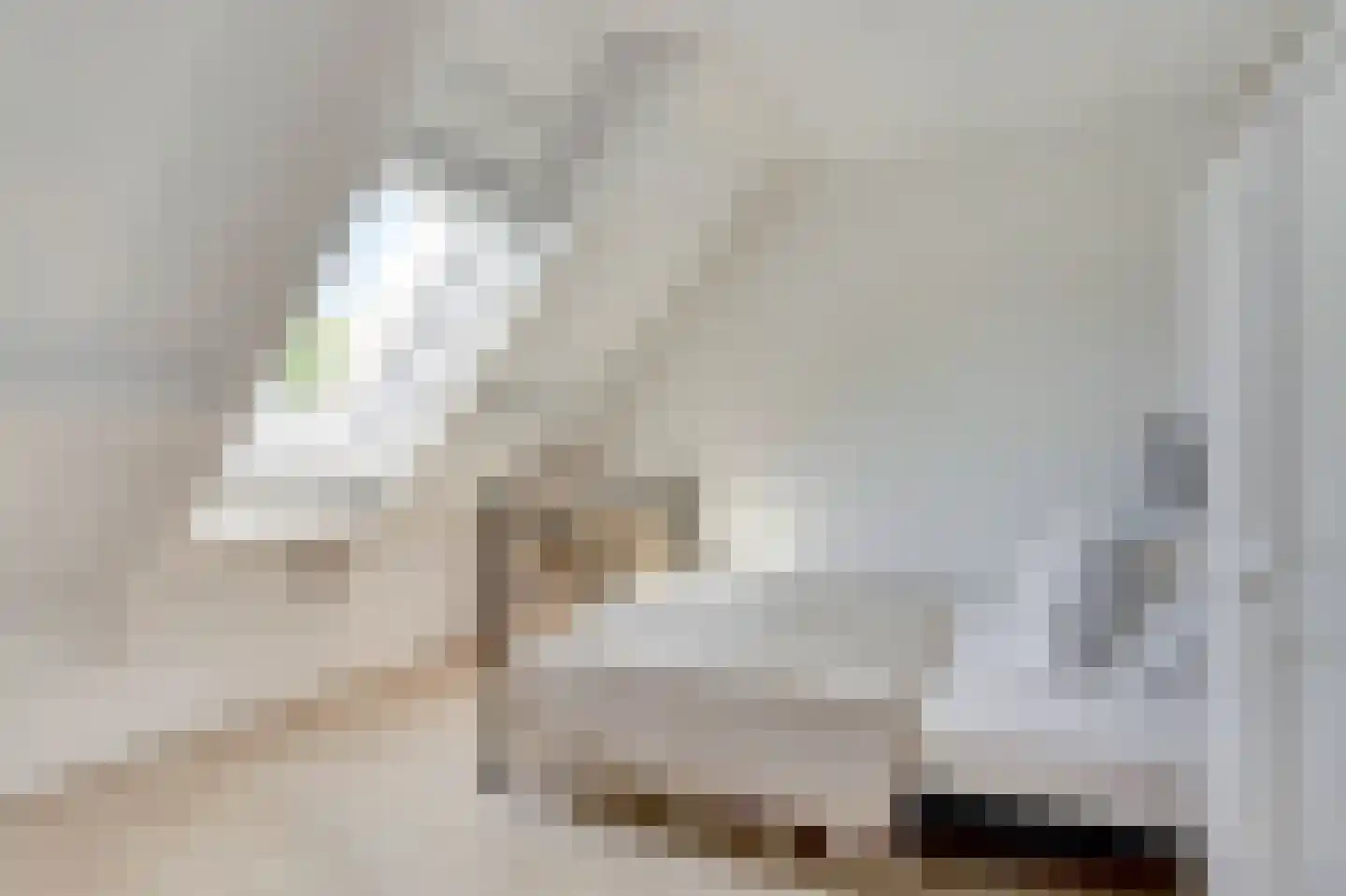 De Finne 17 Mantgum thumbnail 25