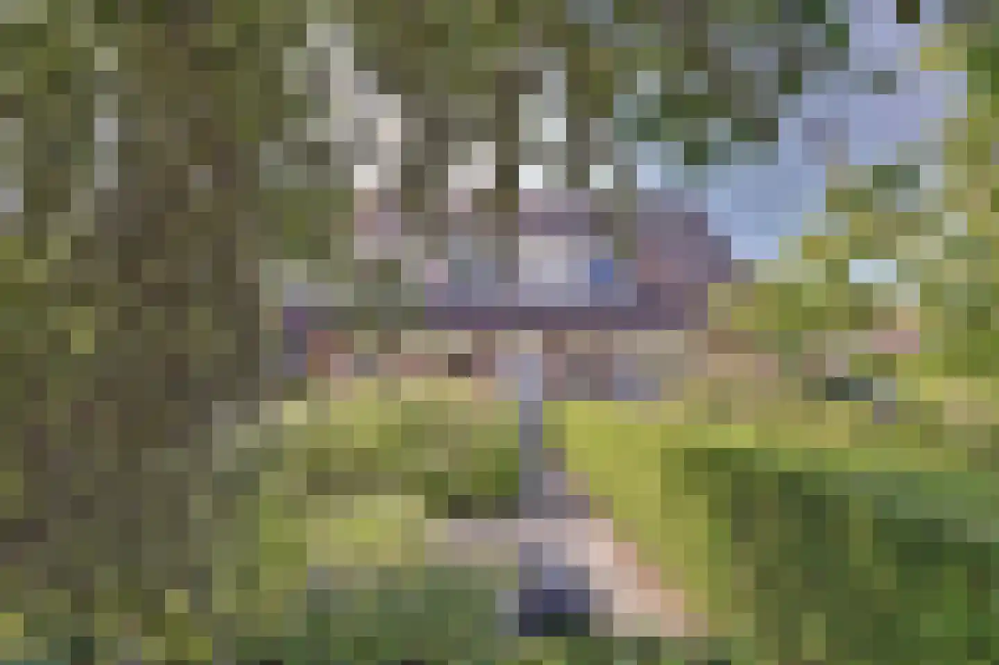 De Finne 17 Mantgum thumbnail 29