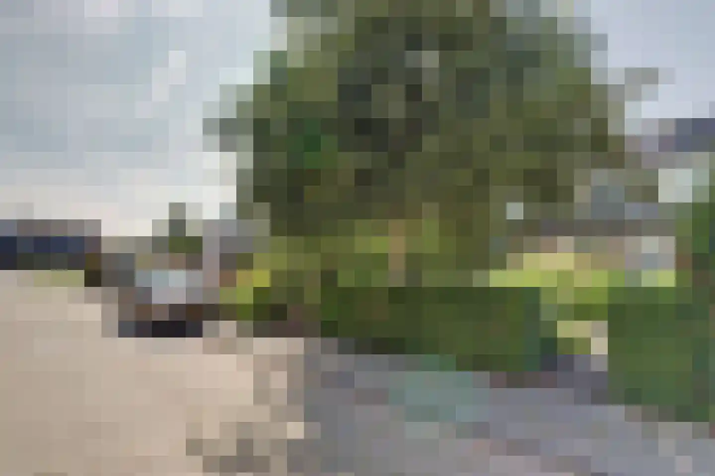 De Finne 17 Mantgum thumbnail 30