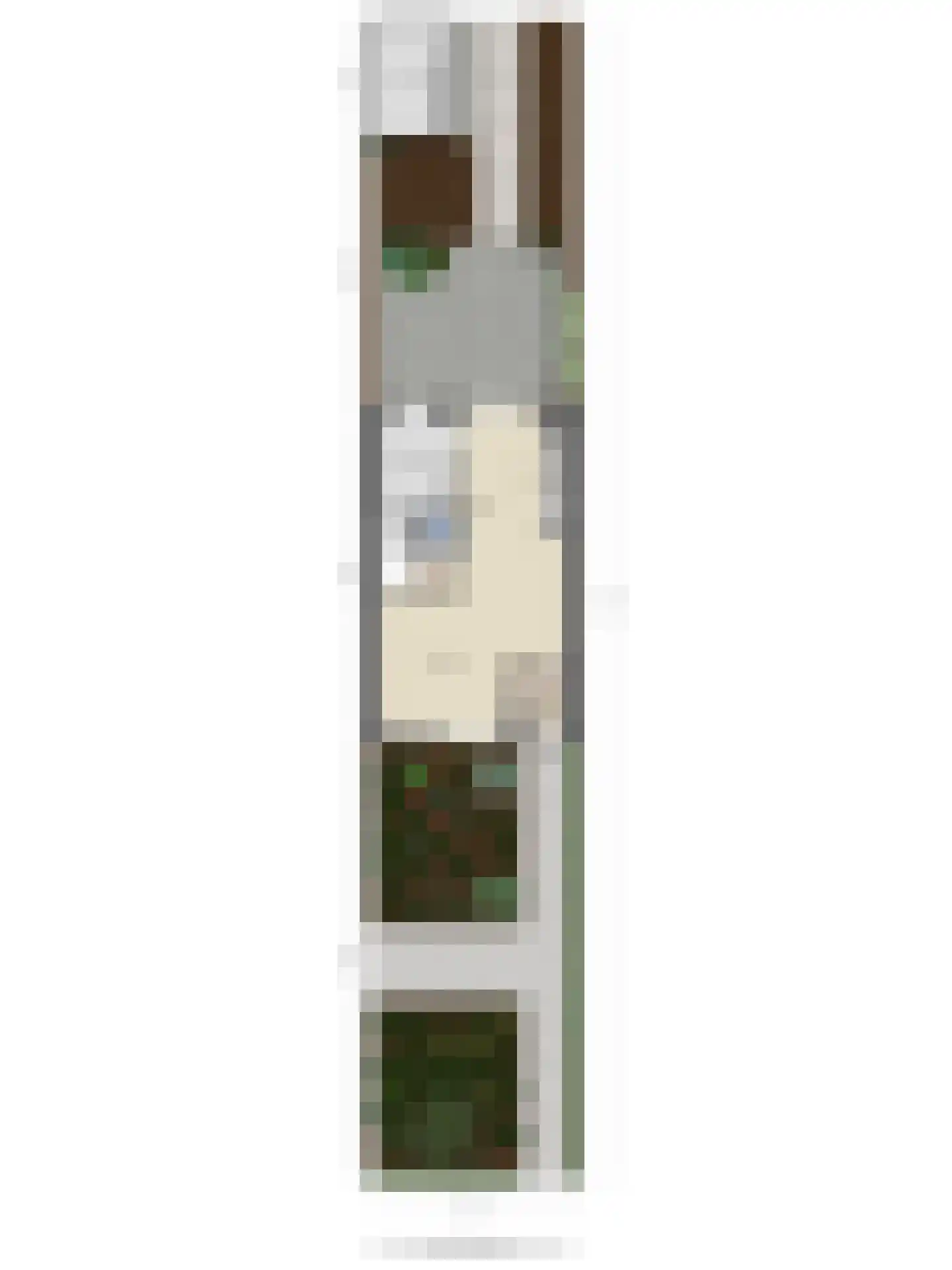De Finne 17 Mantgum thumbnail 32