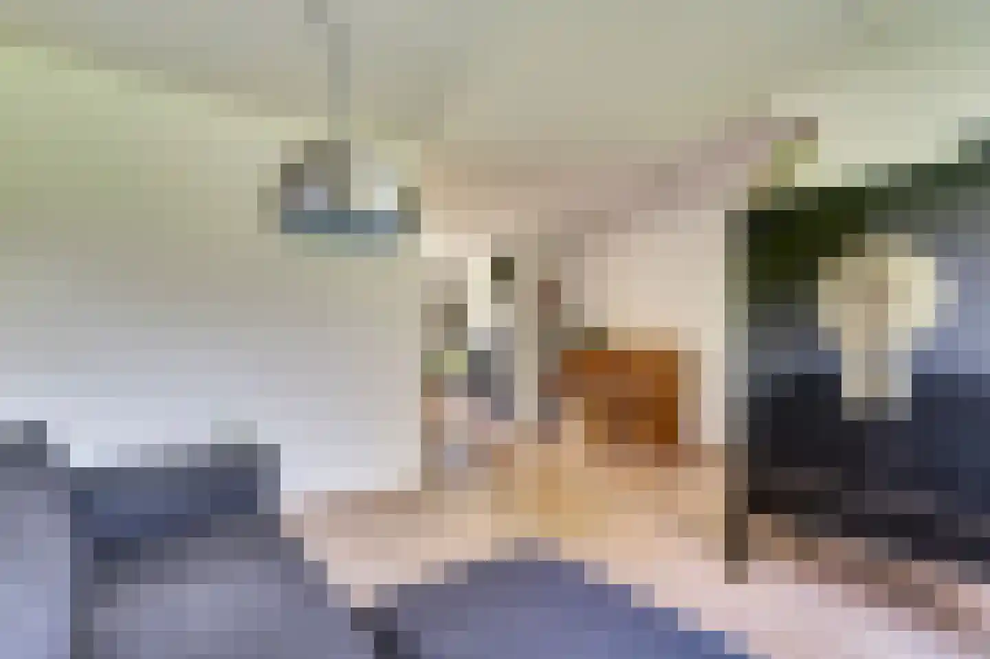 De Finne 17 Mantgum thumbnail 5