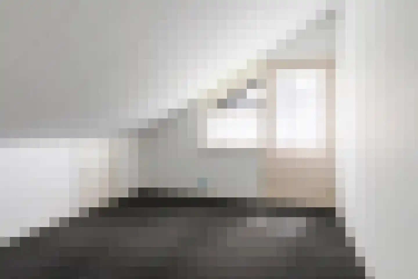 De Finne 17 Ysbrechtum thumbnail 36