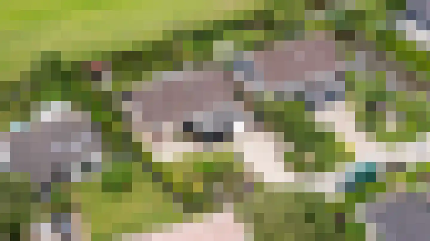 De Finne 17 Ysbrechtum thumbnail 4