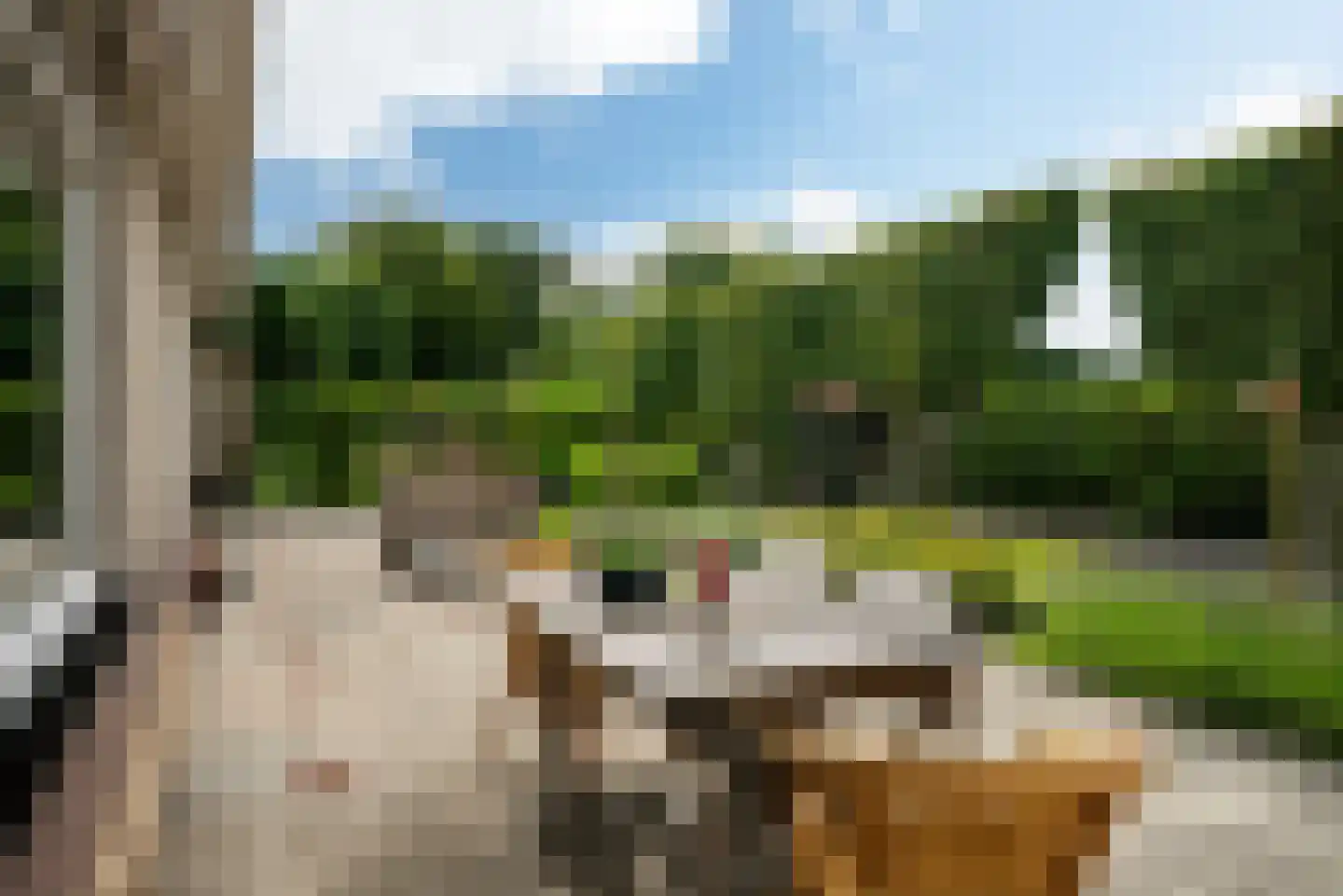 De Finne 17 Ysbrechtum thumbnail 45