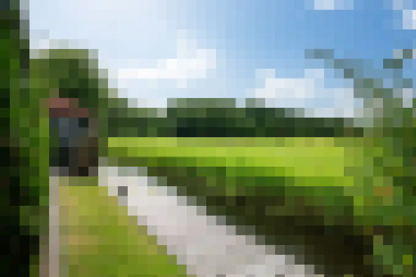 De Finne 17 Ysbrechtum thumbnail 49