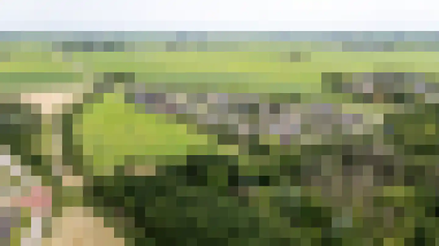 De Finne 17 Ysbrechtum thumbnail 50