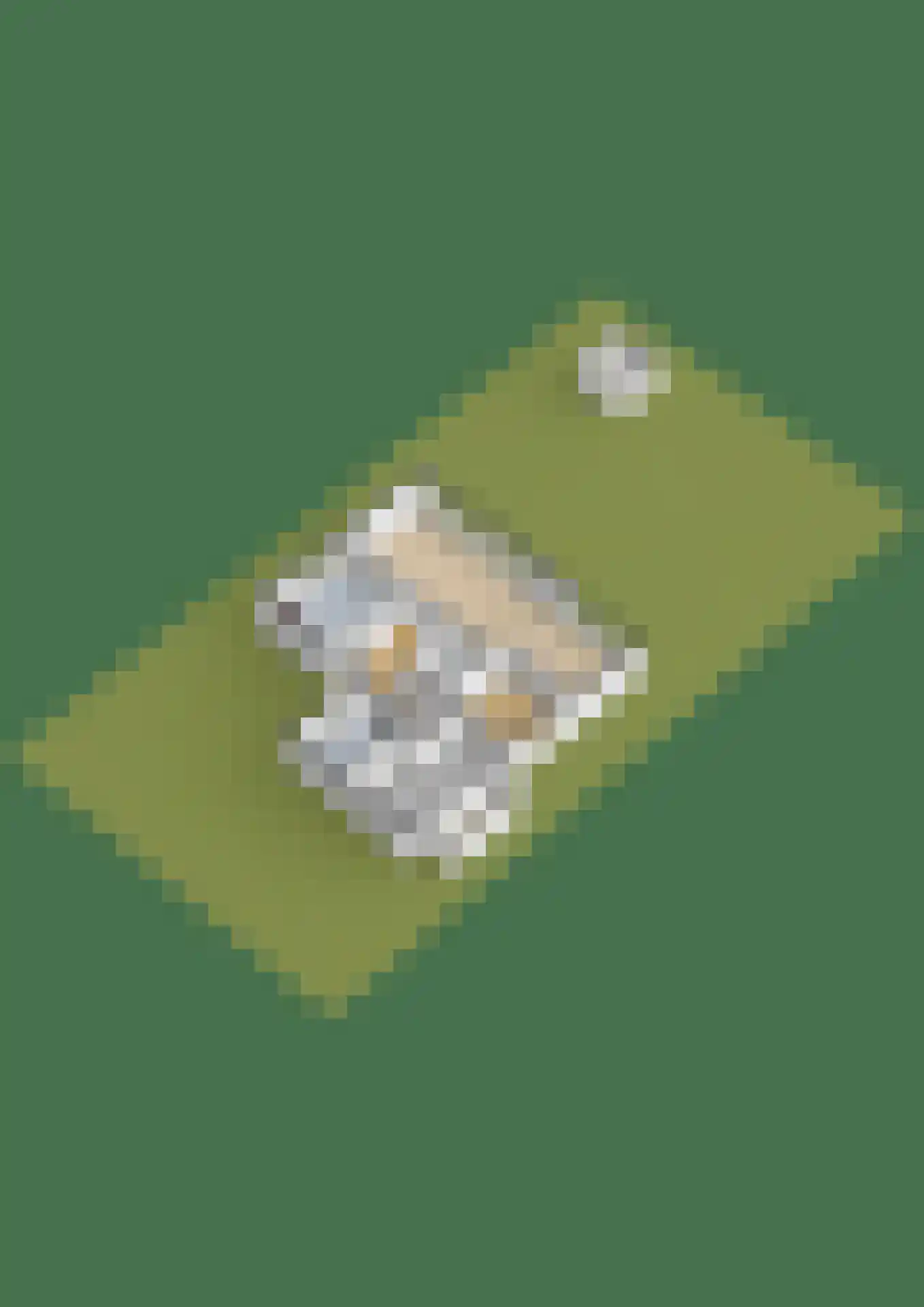 De Finne 17 Ysbrechtum thumbnail 57