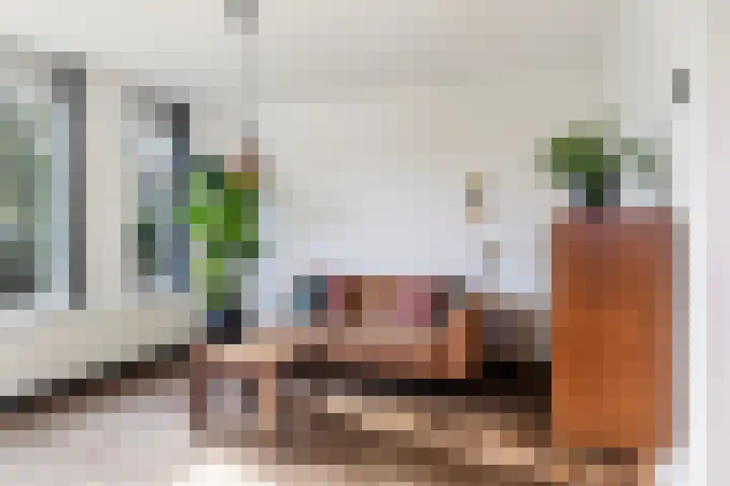 De Finne 19 Mantgum thumbnail 13