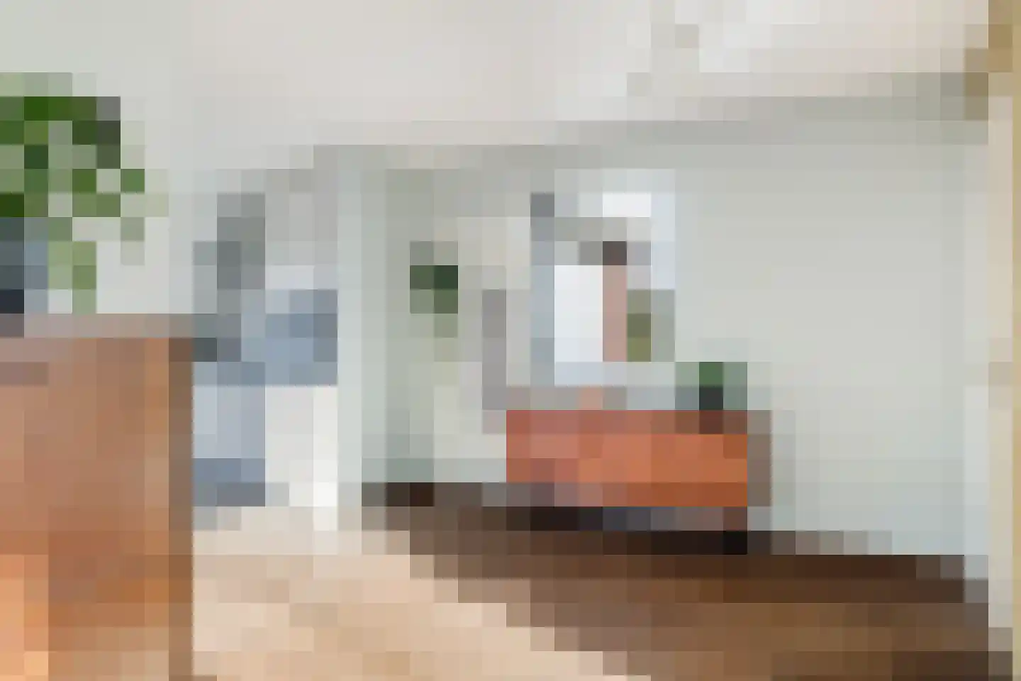De Finne 19 Mantgum thumbnail 15