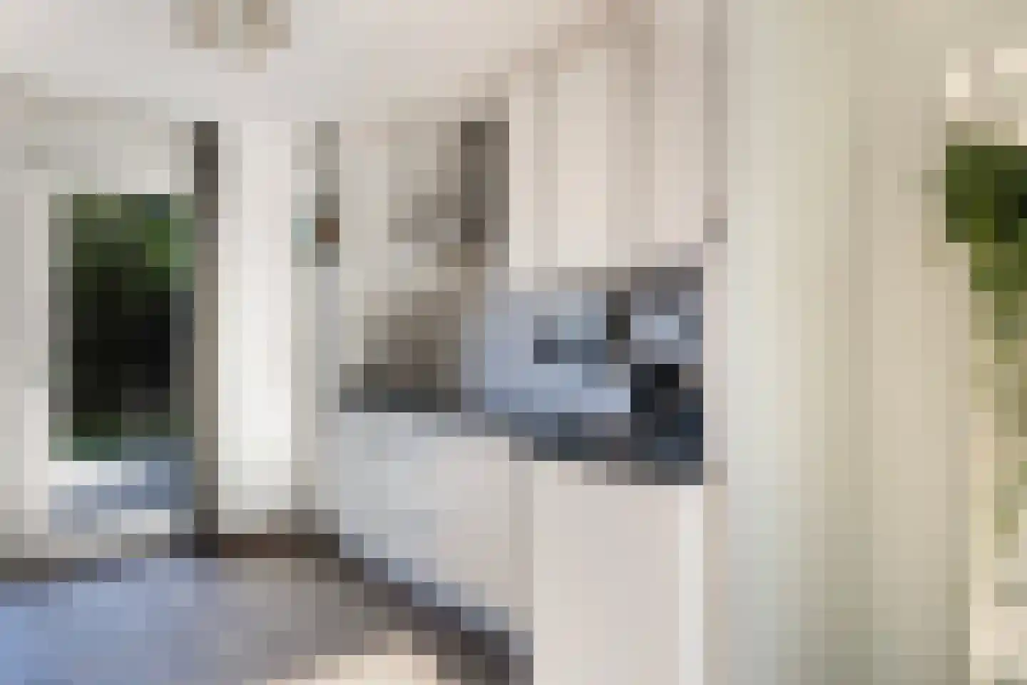 De Finne 19 Mantgum thumbnail 17