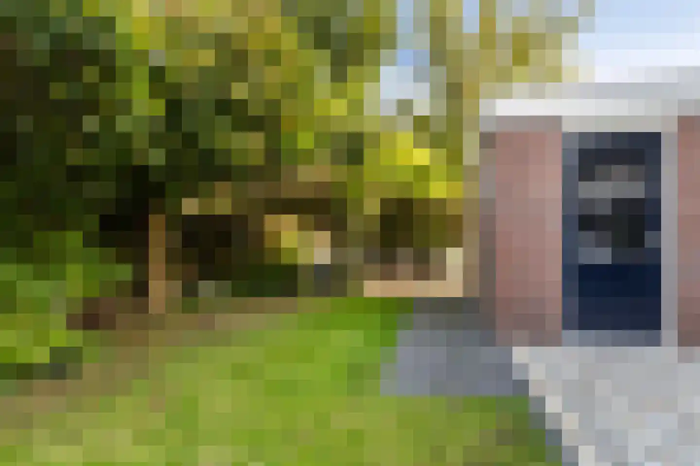 De Finne 19 Mantgum thumbnail 26