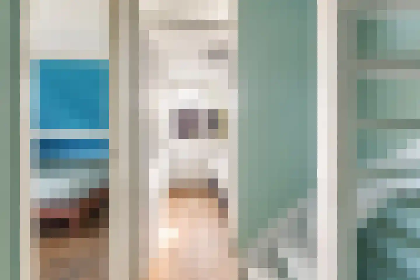 De Finne 19 Mantgum thumbnail 30