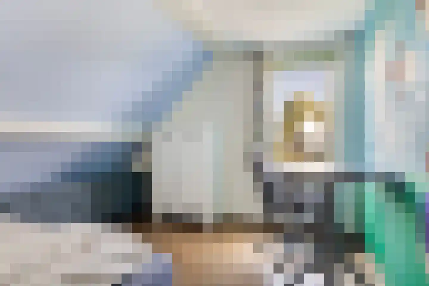 De Finne 19 Mantgum thumbnail 33