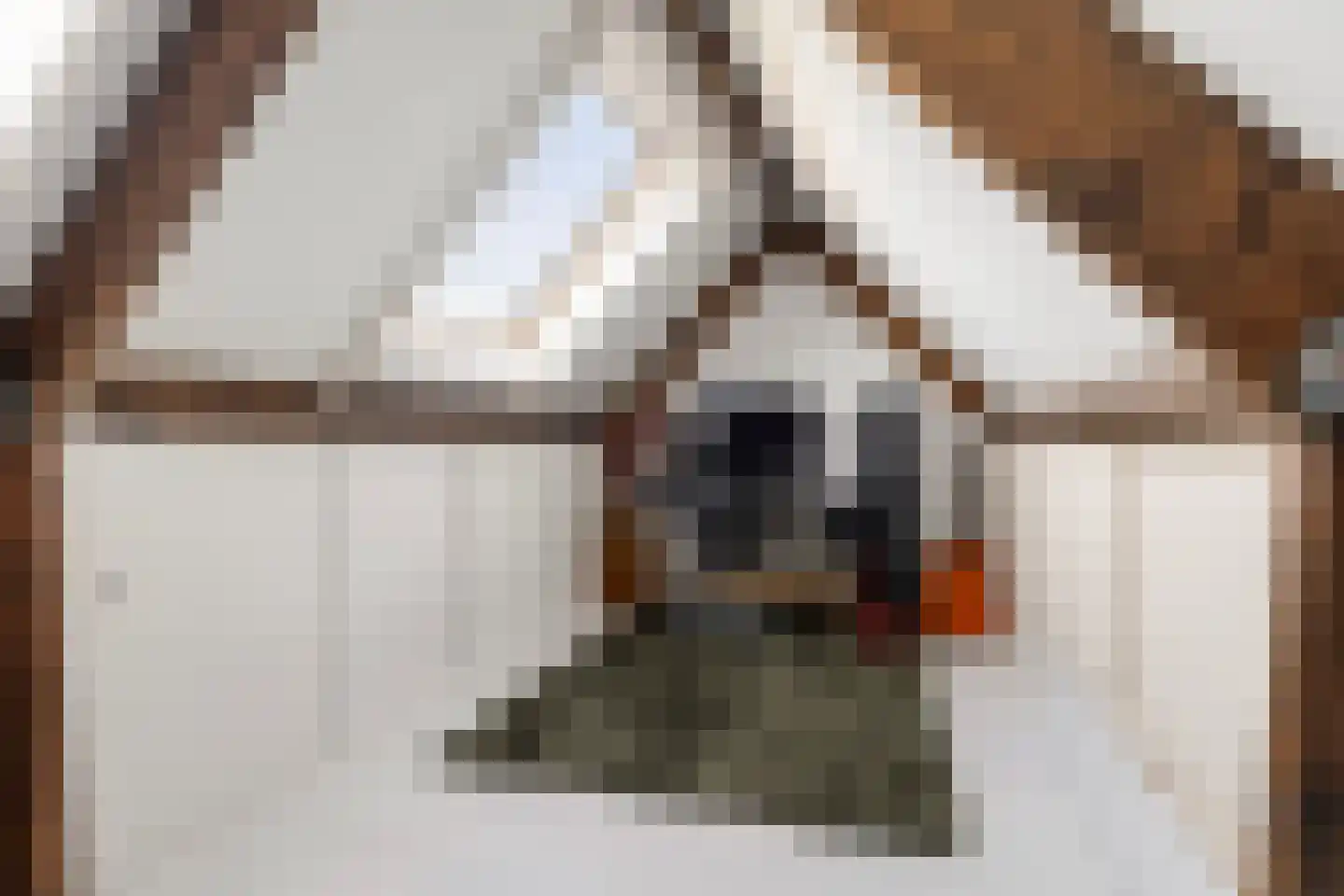 De Finne 19 Mantgum thumbnail 40
