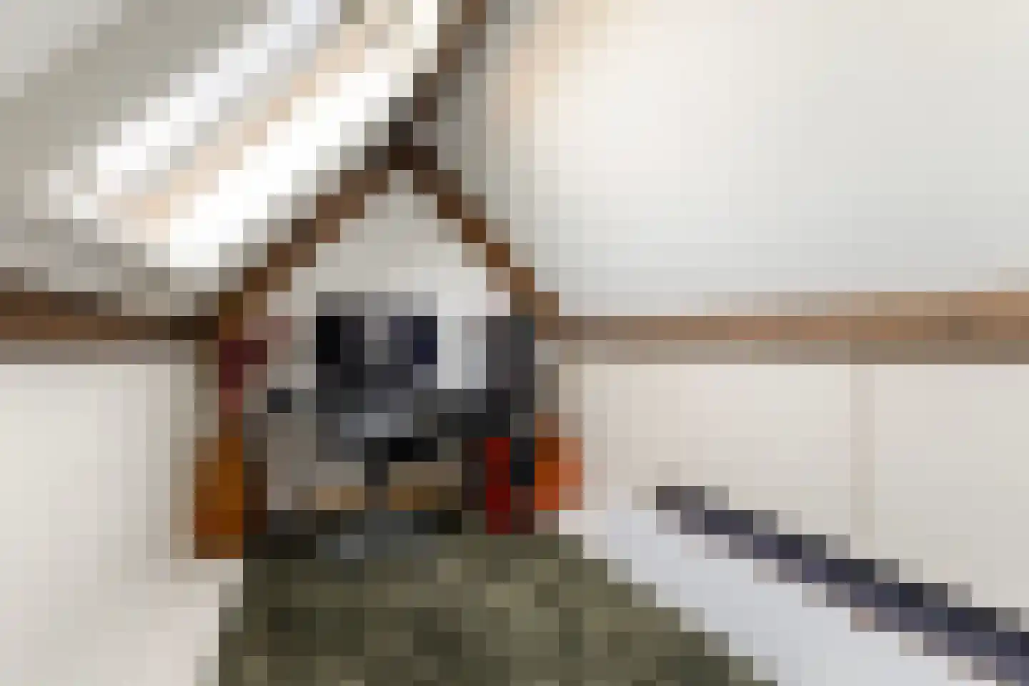 De Finne 19 Mantgum thumbnail 41
