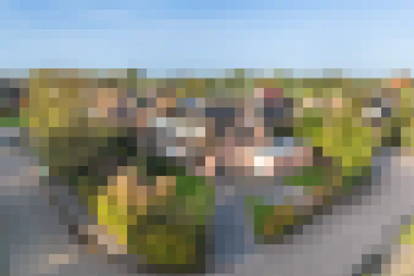 De Finne 19 Mantgum thumbnail 42