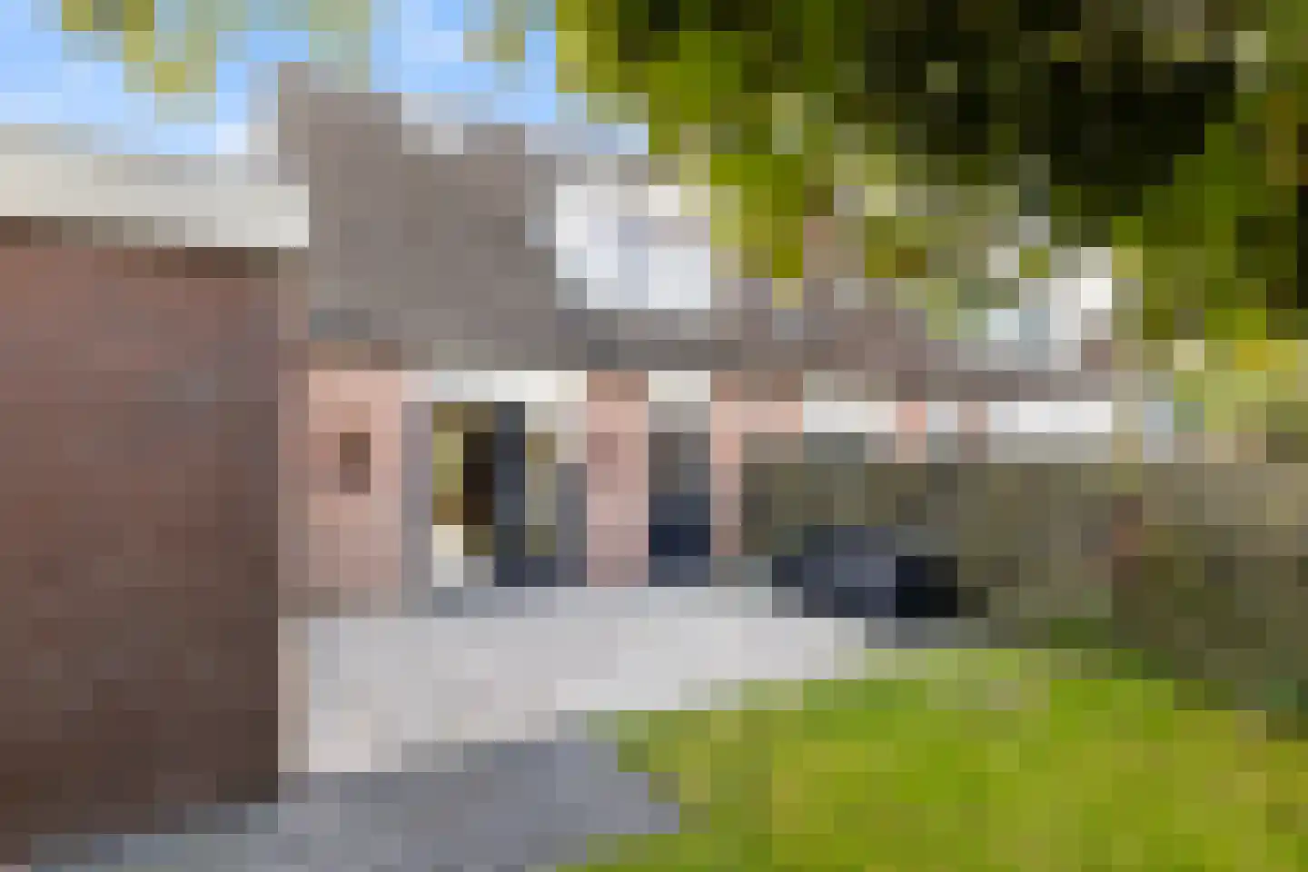 De Finne 19 Mantgum thumbnail 5