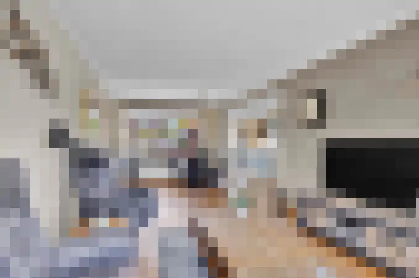 De Finne 2 Makkum thumbnail 11