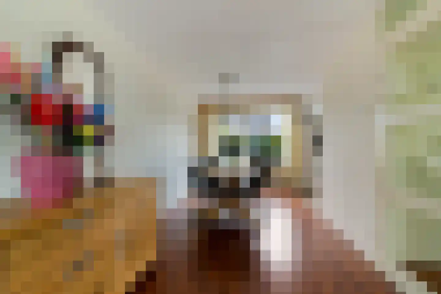 de Finne 2 Wytgaard thumbnail 19