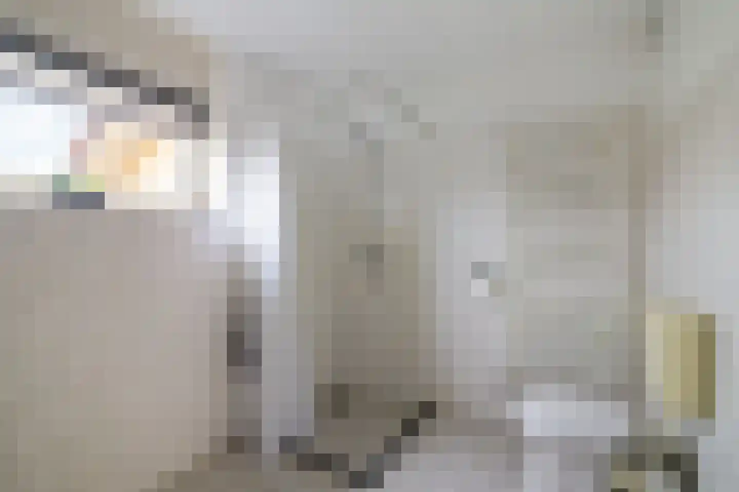 de Finne 2 Wytgaard thumbnail 31