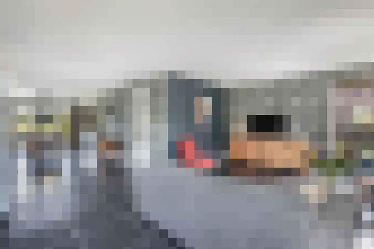 de Finne 25 Wytgaard thumbnail 14