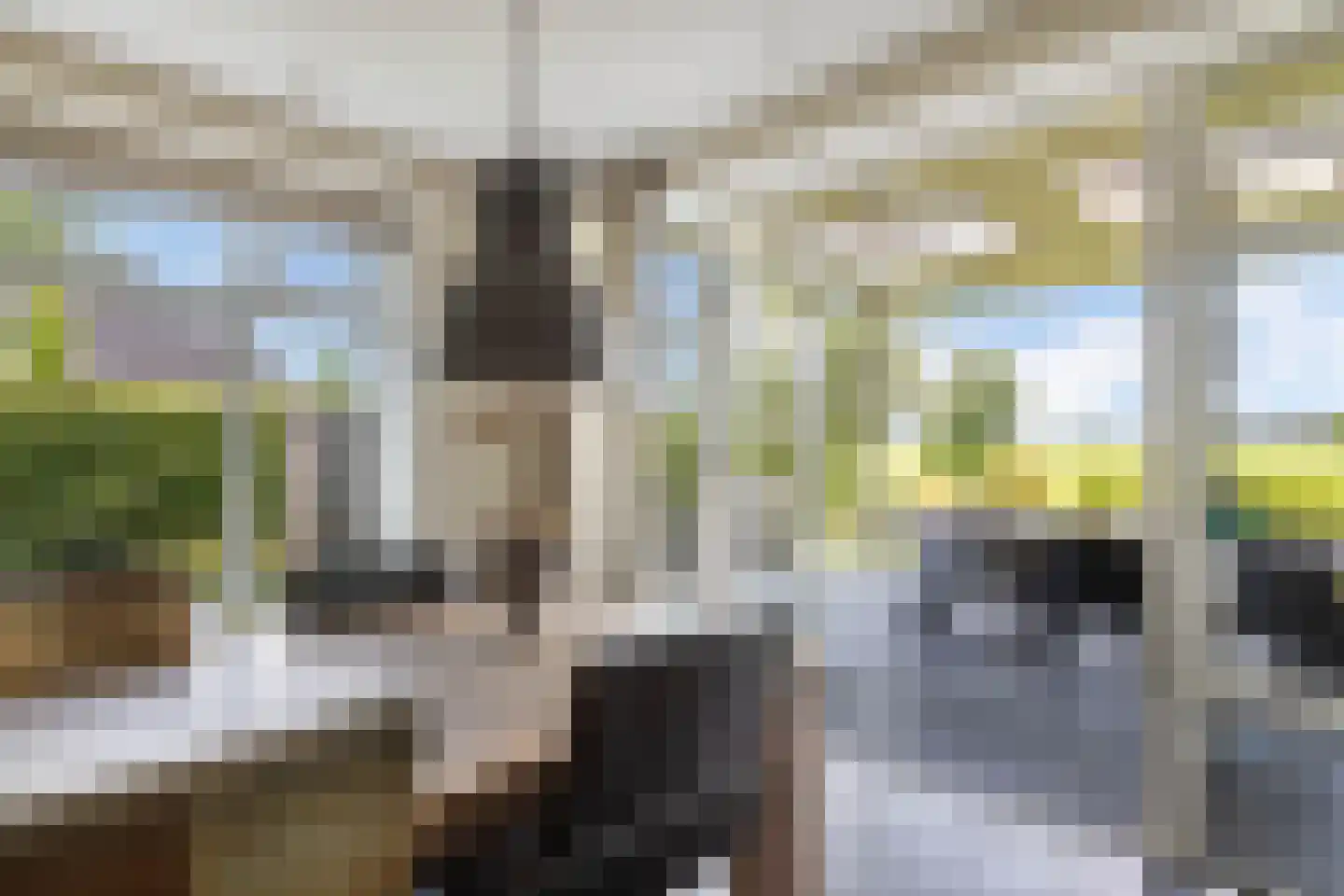 de Finne 25 Wytgaard thumbnail 18
