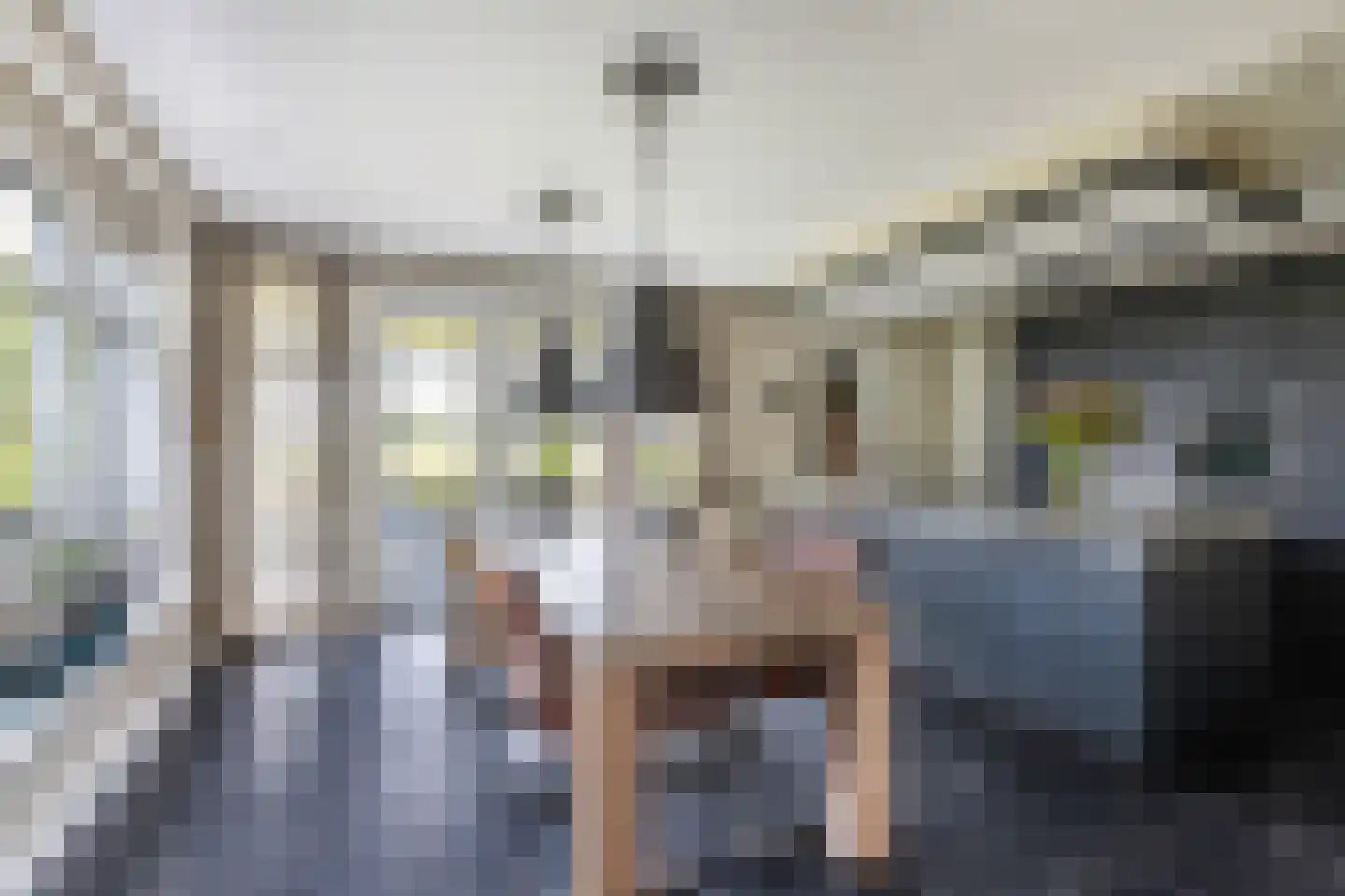 de Finne 25 Wytgaard thumbnail 21