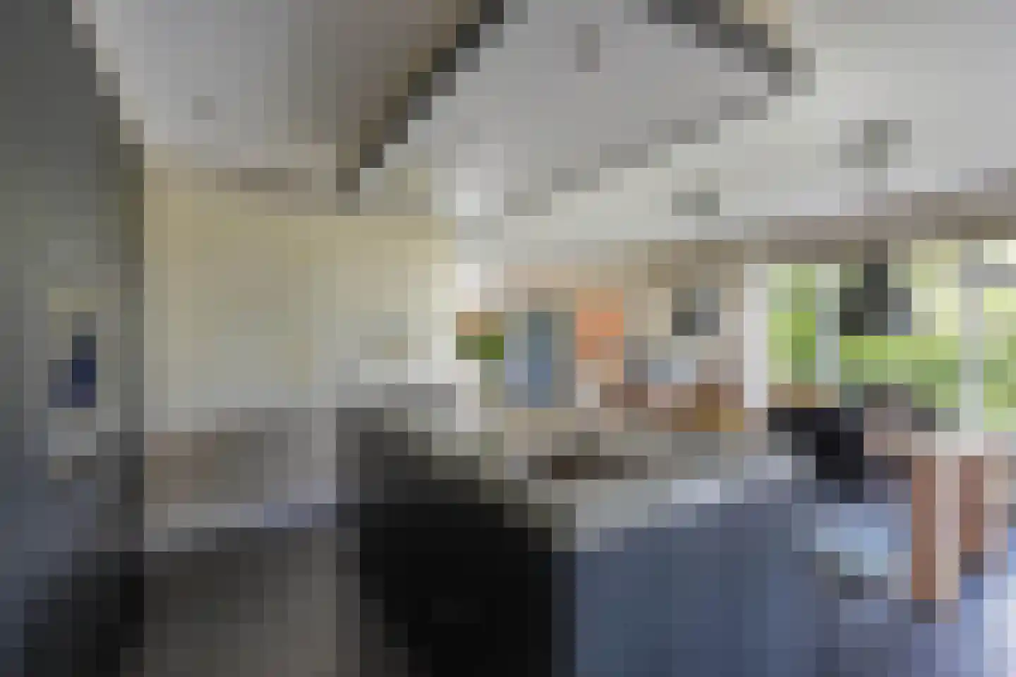 de Finne 25 Wytgaard thumbnail 23