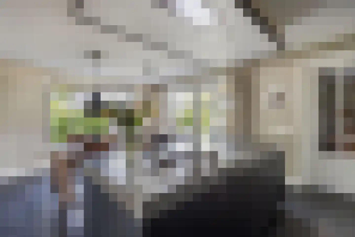 de Finne 25 Wytgaard thumbnail 24