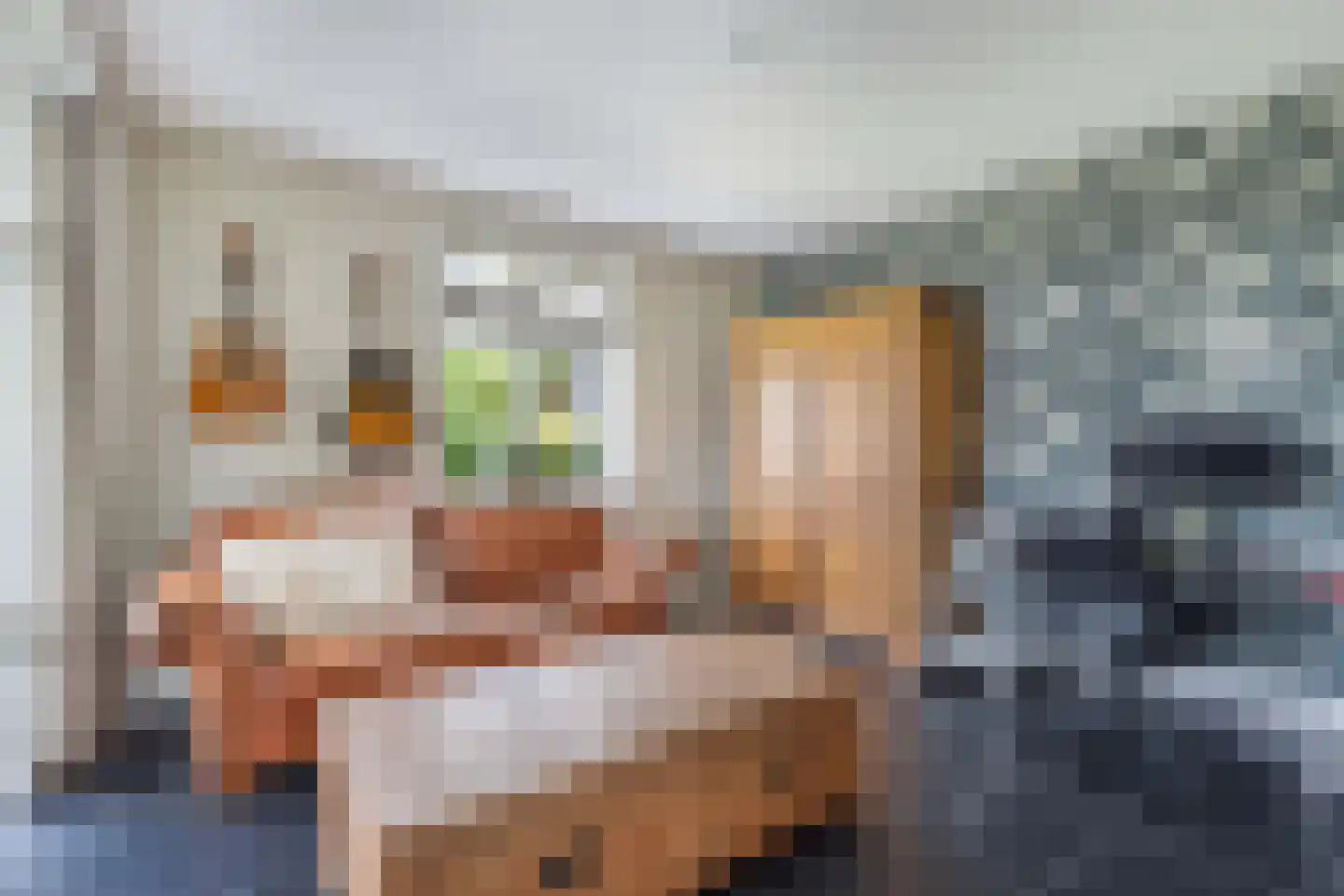 de Finne 25 Wytgaard thumbnail 25