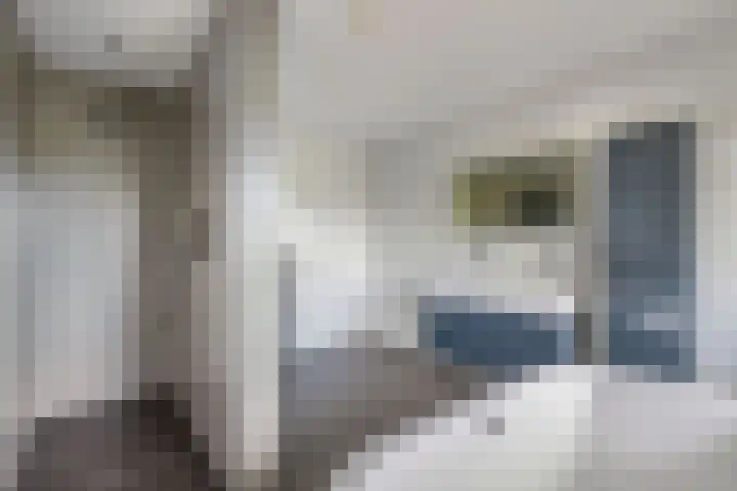 de Finne 25 Wytgaard thumbnail 46