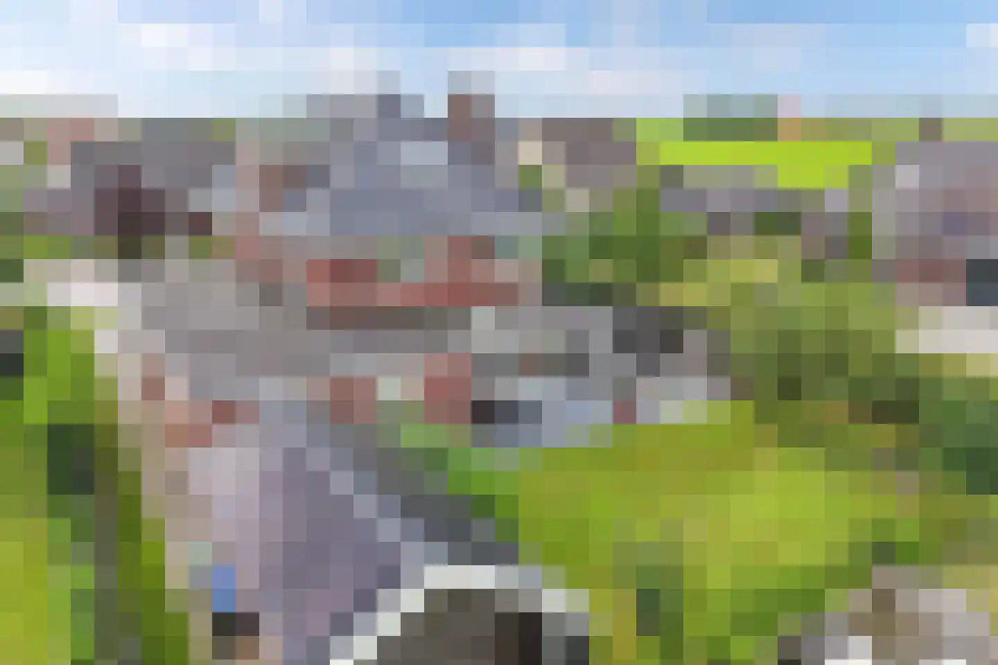 de Finne 25 Wytgaard thumbnail 59
